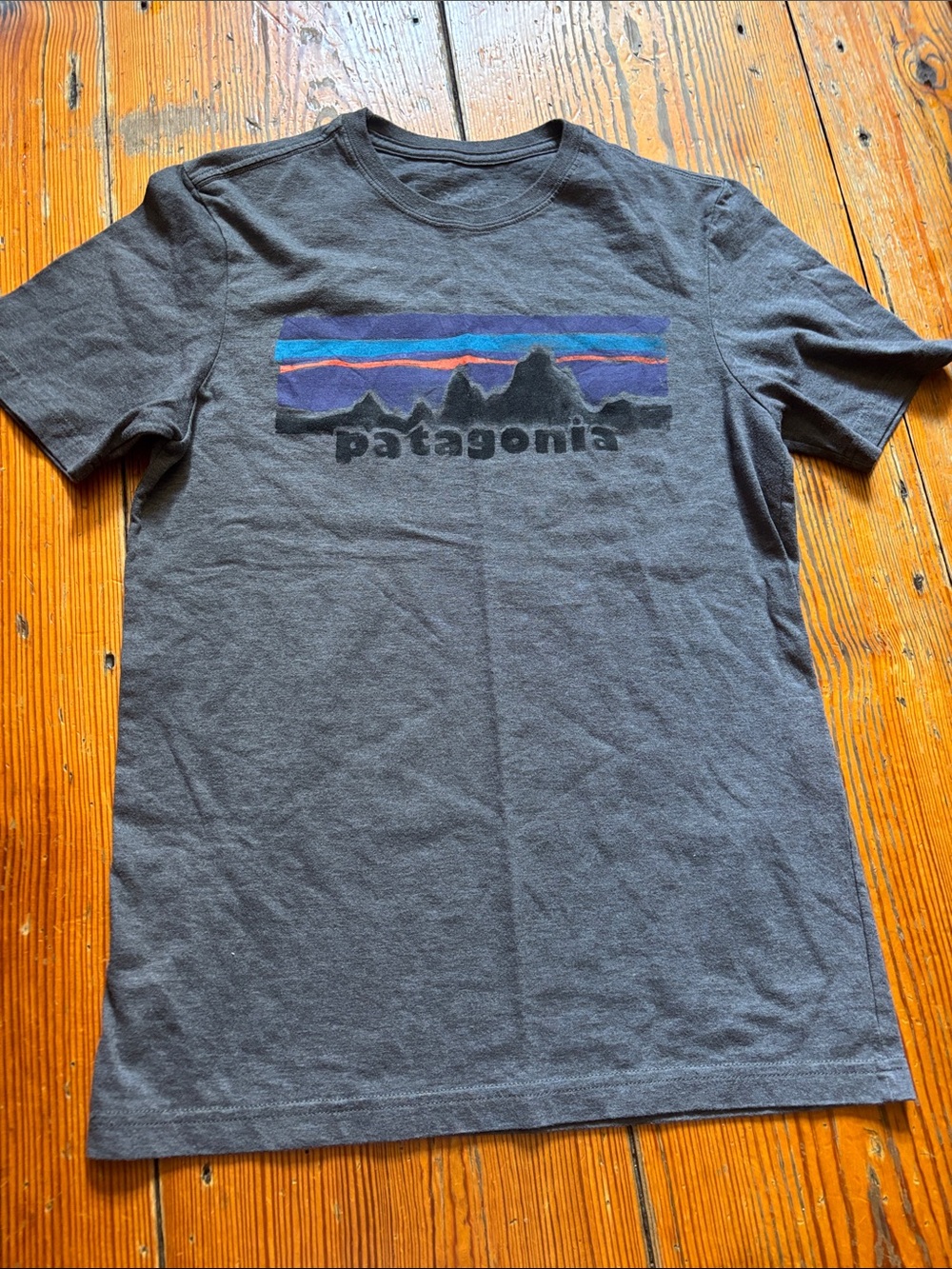 Patagonia Short Sleeve Crew Tee in Charcoal with Blue and Purple Stripe Logo